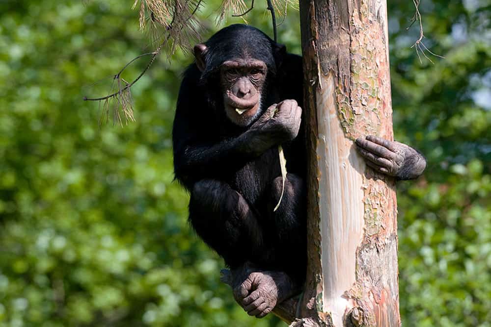 zoo3