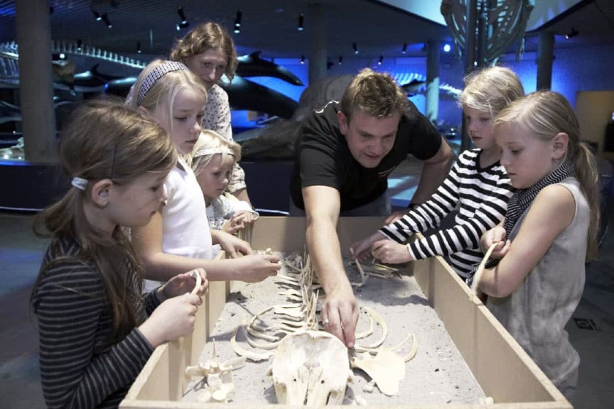 naturama5